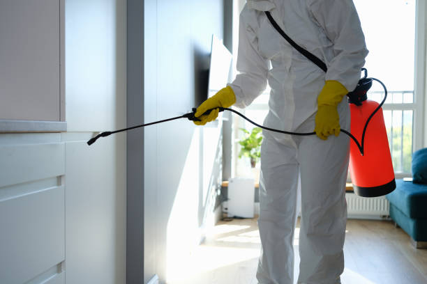 Best Mold Removal and Inspection  in Schertz, TX