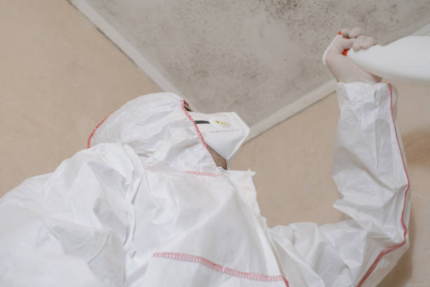 Best Mold Cleaning Services  in Schertz, TX