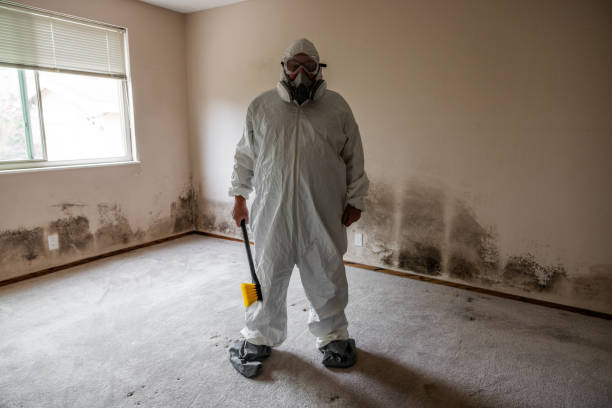 Best Professional Mold Removal  in Schertz, TX